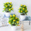 Yesbay Simulation Bonsai ed Creating Vitality Plastic Fake12Mesh Lemon Τεχνητό φυτό σε γλάστρα Διακόσμηση 6