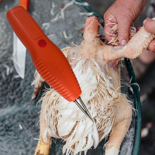 Electric Poultry Plucker with Fast Feather Removal, Ergonomic USB Powered Chicken Defeather Tool 1