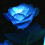 Ηλιακά φώτα Upgraded5Flowers για εξωτερική διακόσμηση κήπου, αδιάβροχα τεχνητά 3