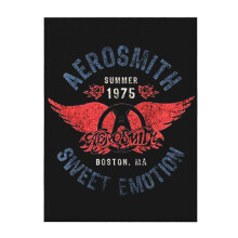Aerosmith 'Sweet Emotion' deken voor op de bank, airconditioningdeken, dutdeken, verdikte deken voor op de bank of het bed, woonkamerdeken 50"X40"