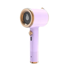 Portable Garment Steamer for Clothes Quick Wrinkle Removal Dry Wet Dual Mode Purple Travel Use