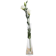 Hand Blown Glass Bud Vase with Elegant Slim Waist, Clear Single Stem Flower Vase for Desk or Wedding Decor