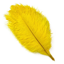 Plumes d'autruche naturelles, 25-30 cm et 30-35 cm, jaunes, 10-12 pouces, 10 pièces/sachet, pour mariage, carnaval et décoration DIY.