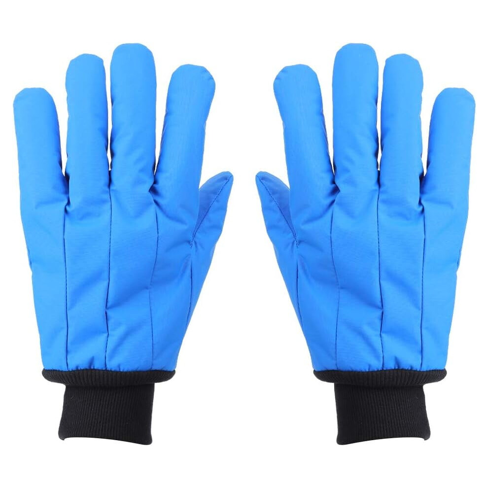 Dealpeak Cryogenic Gloves Liquid Nitrogen Protective Work Gloves -200C To -360C Low Temperature Resistance Cold Storage Safety Frozen Gloves 9083649917329