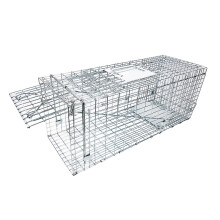 32 Inch Large Humane Live Animal Cage Trap with Dual Doors, Foldable RustResistant Design
