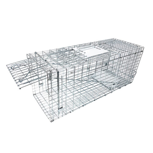 32 Inch Large Humane Live Animal Cage Trap with Dual Doors, Foldable RustResistant Design