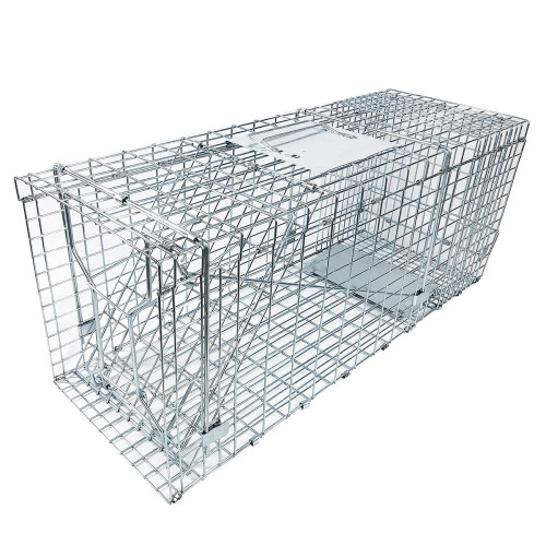 32 Inch Large Humane Live Animal Cage Trap with Dual Doors, Foldable RustResistant Design 1