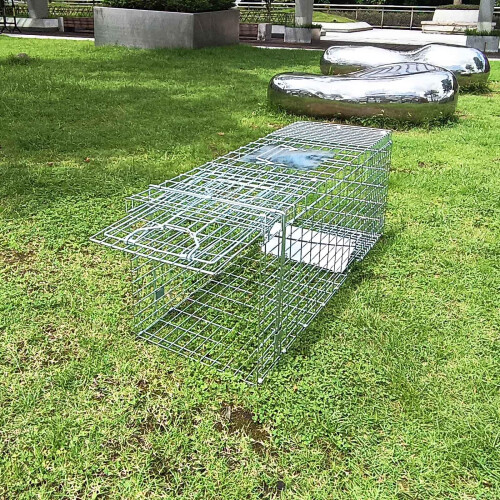 32 Inch Large Humane Live Animal Cage Trap with Dual Doors, Foldable RustResistant Design 2