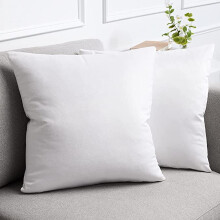 Cterwk Set van 2 fluwelen sierkussenhoezen, zachte decoratieve vierkante kussenhoezen voor bank, fauteuil, bed, woonkamer en auto, 16x16 inch