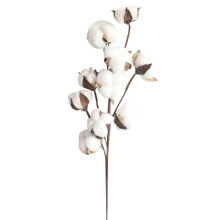 Natürlich getrocknete Baumwollstiele, künstliche Blumenfüllung im Landhausstil, Blumendekoration