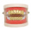 Σετ ψησταριών Hip Hop Vampire Fangs Top Bottom Teeth Grillz από χρυσό 18 καρατίων με επιμετάλλωση 2