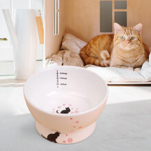 Verhoogde keramische kattenvoerbak met antislipvoet, schuine voerbak voor kleine honden en kittens - compatibel met standaard voerbakken