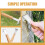 Fruit Tree Scraper Potato Peeling Tool Bark Removal Stainless Steel Wooden 6