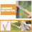 Fruit Tree Scraper Potato Peeling Tool Bark Removal Stainless Steel Wooden 5
