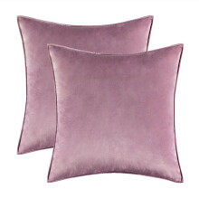 Cterwk Set van 2 fluwelen sierkussenhoezen, zachte effen decoratieve vierkante kussenhoezen voor bank, slaapkamer en woonkamer, 18x18 inch
