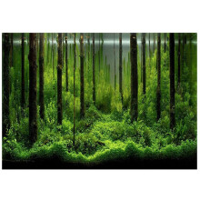 Hakeeta Forest Tank Aquarium Poster, PVC Adhesive Underwater Forest Fish Tank Background Poster Backdrop Decoration Paper.(6141cm)