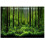 Αφίσα για το ενυδρείο Hakeeta Forest Tank, αυτοκόλλητο PVC για υποβρύχιο ενυδρείο δάσους, 1