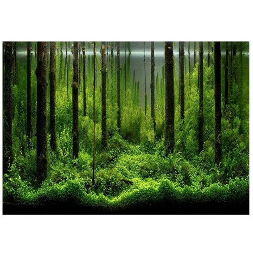 Αφίσα για το ενυδρείο Hakeeta Forest Tank, αυτοκόλλητο PVC για υποβρύχιο ενυδρείο δάσους,
