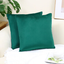 Cterwk Set van 2 fluwelen sierkussenhoezen, zachte decoratieve vierkante kussenhoezen voor bank, fauteuil, bed, woonkamer en auto, 24x24 inch