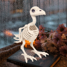 Décorations d'Halloween Ympuoqn : squelettes, animaux de simulation, ornements squelettes, décoration de maison hantée, squelette d'oiseau