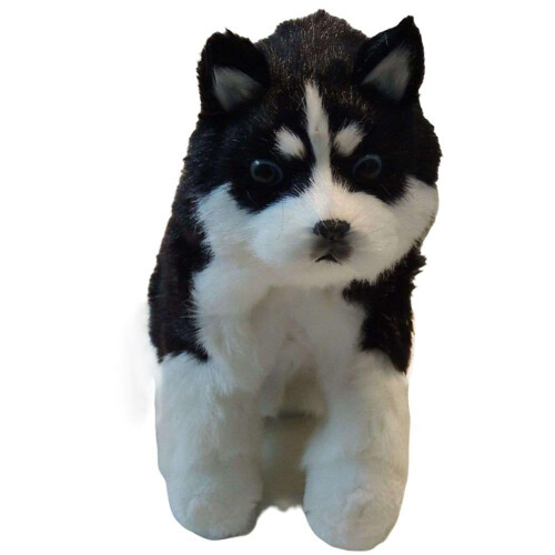 Χαριτωμένα γεμιστά παιχνίδια Husky για παιδιά που κοιμούνται, κούκλες ζώων,