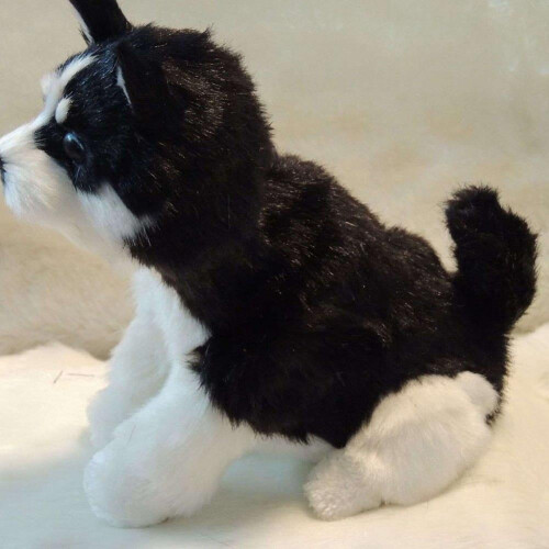 Χαριτωμένα γεμιστά παιχνίδια Husky για παιδιά που κοιμούνται, κούκλες ζώων, 1