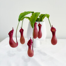 2 Pack 29 Inch Artificial Pitcher Plant Red, Realistic Silk Leaves, Maintenance Balcony and Kitchen Decor
