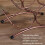 Branch Shaped Rack Iron Art Wine Display Rack 7