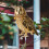 Vogelscheuche mit Glöckchen – Eulenmotiv – Hängende Vogelabwehr A4 6