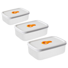 Ensemble de 3 boîtes hermétiques pour fruits frais, idéales pour le réfrigérateur et la conservation des fruits. Convient également aux bébés