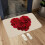 Πατάκια πόρτας Uclet Saving Carpet, διακοσμητικά χαλάκια πόρτας καλωσορίσματος για την 1