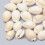 Χάντρες Cowrie από Κοχύλια, Χωρίς Τρύπα/Αδιάτρητες, Χρώμα Κοχυλιού 12~17x8~11x6~9mm 1