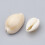 Χάντρες Cowrie από Κοχύλια, Χωρίς Τρύπα/Αδιάτρητες, Χρώμα Κοχυλιού 12~17x8~11x6~9mm 2