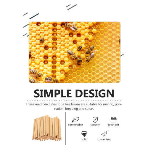50 τεμάχια καλαμάκια Mason Bee Tube, σωλήνες καφέ Reed για κυψέλη, επαναγεμιζόμενοι 1