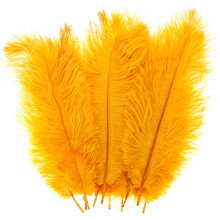 Pluokvzr 10Pcs Ostrich Feather Multi-Color Ostrich Feather Plume Decorative Pink Gold Purple Feather Craft Fashion DIY Large Feat