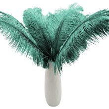 NANAHuang 10pcs Large Black Ostrich Feathers 16-18 inch Fluffy Feather for Crafts Home Party Decoration Wedding Centerpieces Clothes Vase Decor