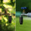 Régulateur de pression 25 PSI pour système d'irrigation goutte à goutte - Régulateur de distribution d'eau haute performance 8