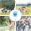 Automatic Outdoor Bubble Machine for Kids with Adjustable Height and Endless Party Fun 4