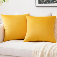 Cterwk Juego de 2 fundas de almohada decorativas de terciopelo suave para sofá, cama o sillón, 20x20 pulgadas.