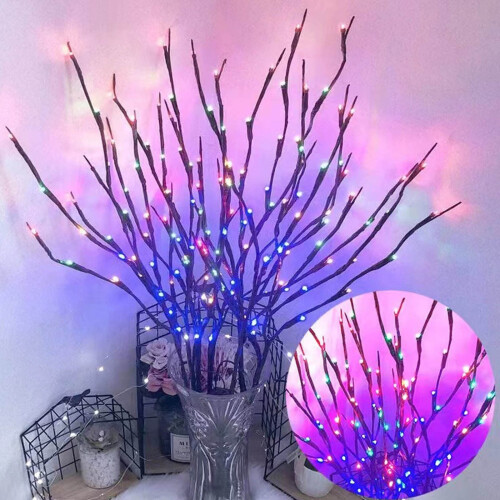 20LED30 ιντσών φωτισμένα κλαδιά, θερμά λευκά κλαδιά που λειτουργούν με μπαταρία, 1