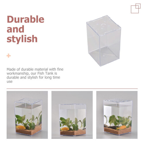 Betta Fish Tank Decor Small Cylinder Aquarium Stackable Tortoise Habitat Decorative 2