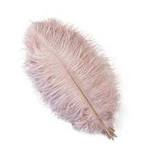 Natural Ostrich Feathers 30-35cm Pink 12-14inch, 10pcs/bag, for Wedding, Table Decor, Carnival Plumas, DIY Plume Leather
