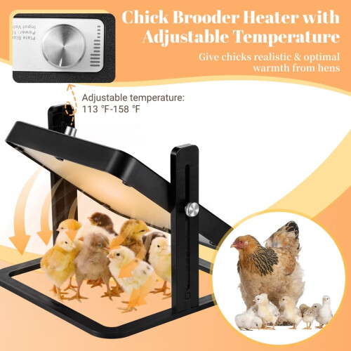 Chicken Brooder Heater with Adjustable Temperature Control, Height Adjustable Chick Heating Plate for 1015 Chicks 1
