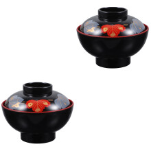 2 Pack Bowl Kitchen Rice Noodle with Lid Food Containers Lids Ramen Bowls Salad Small Japanese