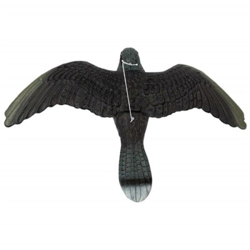 Vogelverschrikkervalk - Jaag de vogels weg 2
