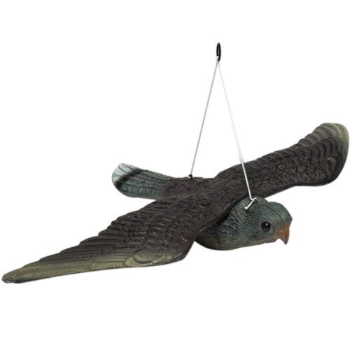 Vogelverschrikkervalk - Jaag de vogels weg 1