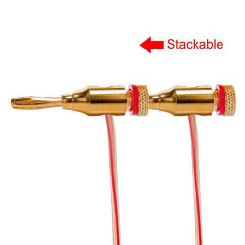 Βύσματα μπανάνας 10/20X4mm Επιχρυσωμένο καλώδιο ηχείου μουσικού ήχου 2