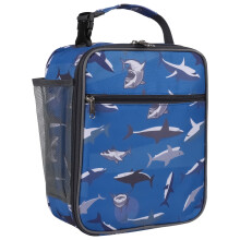 Lancheira infantil, bolsa térmica para lanche para adolescentes (menina e menino), bolsa pequena e charmosa com porta-garrafa para a escola.