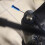 Embouts de câble de frein pour dérailleur de vélo VERT vert 4