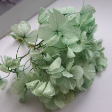 Cluaise DIY agus Coinnle Cumhra, Bláthanna Caomhnaithe Macrophylla Hydrangea, Peitil Mhóra, Ábhar le haghaidh Maisiúcháin Baile, Roisín Gutta
